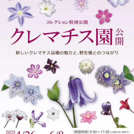 本物のイングリッシュブルーベルを入手｜園芸日記byアイアン