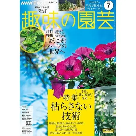 エリンジウム（エリンジューム）とは｜育て方がわかる植物図鑑