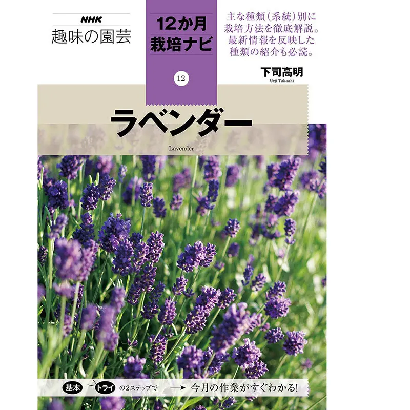 ラベンダーの種類（原種、品種）｜植物図鑑｜みんなの趣味の園芸（NHK