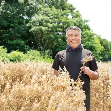 【開花株 10年物の大株】月下美人 5173X1cX+7L._AC_UF350,