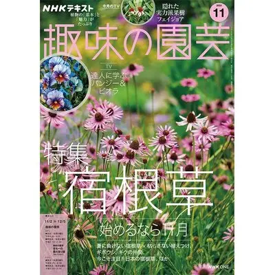 趣味の園芸』2025年11月号の紹介～宿根草を始めるなら11月／達人に学ぶ