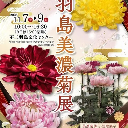 月下美人とは｜育て方がわかる植物図鑑｜みんなの趣味の園芸