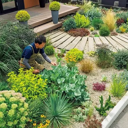 ☆昨年開花しました☆ 月下美人 26 支柱ポット付き Amazon | 月下美人 大苗（6号）【花なし・開花見込み株】 | 花