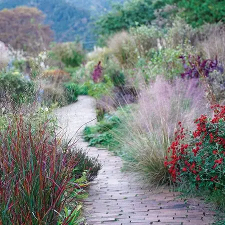 釜無アツモリソウ｜園芸日記byネカタ｜みんなの趣味の園芸｜1249529