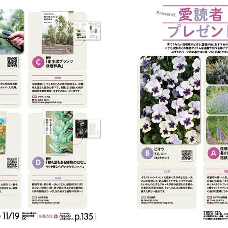 万葉集で最も多く詠まれた花、ハギ-みんなの趣味の園芸