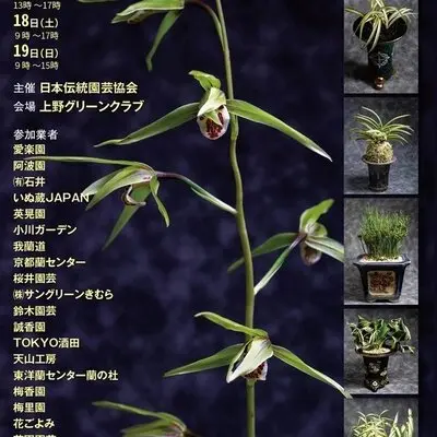伝統園芸植物の展示・即売会「2025 東洋蘭総合大展示会」が10月17日