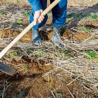 天然資材で畑を整える。土の養分を増やすための畝作り【里山菜園 有機