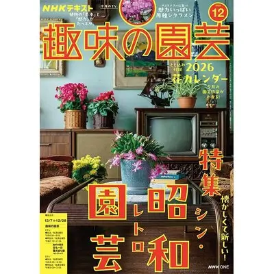 engeicover_202512_800-thumb-