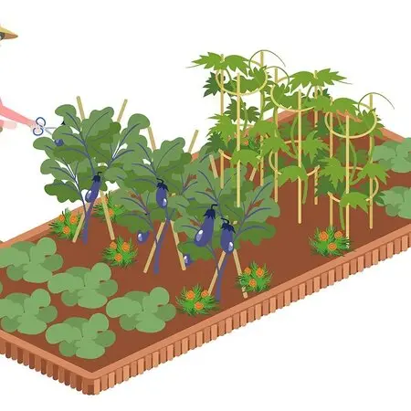 ダリアの球根掘り💪｜園芸日記byエビコ｜みんなの趣味の園芸｜514777