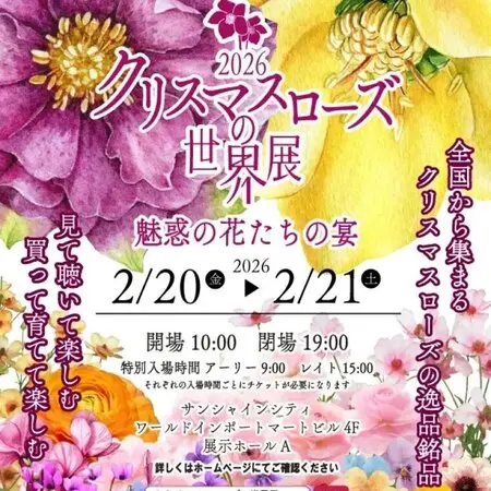 加藤農園さんのかぐや姫です。香りのあ「クリスマスローズ2020〜21