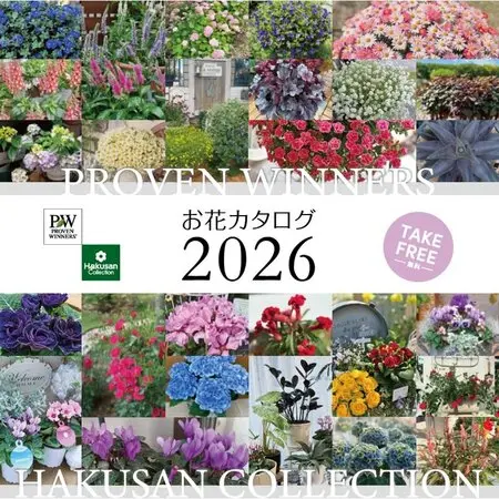 マルバストラムとは｜育て方がわかる植物図鑑｜みんなの趣味の園芸