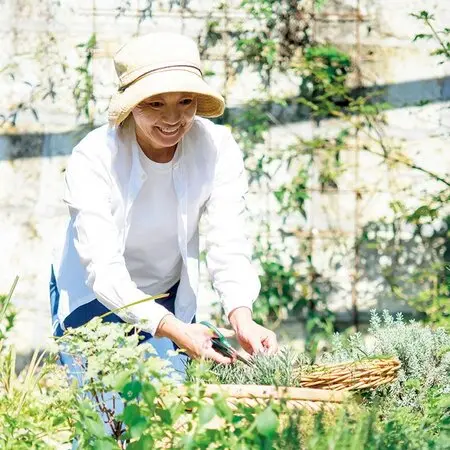 庭の花～マルバストラム｜園芸日記byおれんじぺこ｜みんなの趣味の園芸