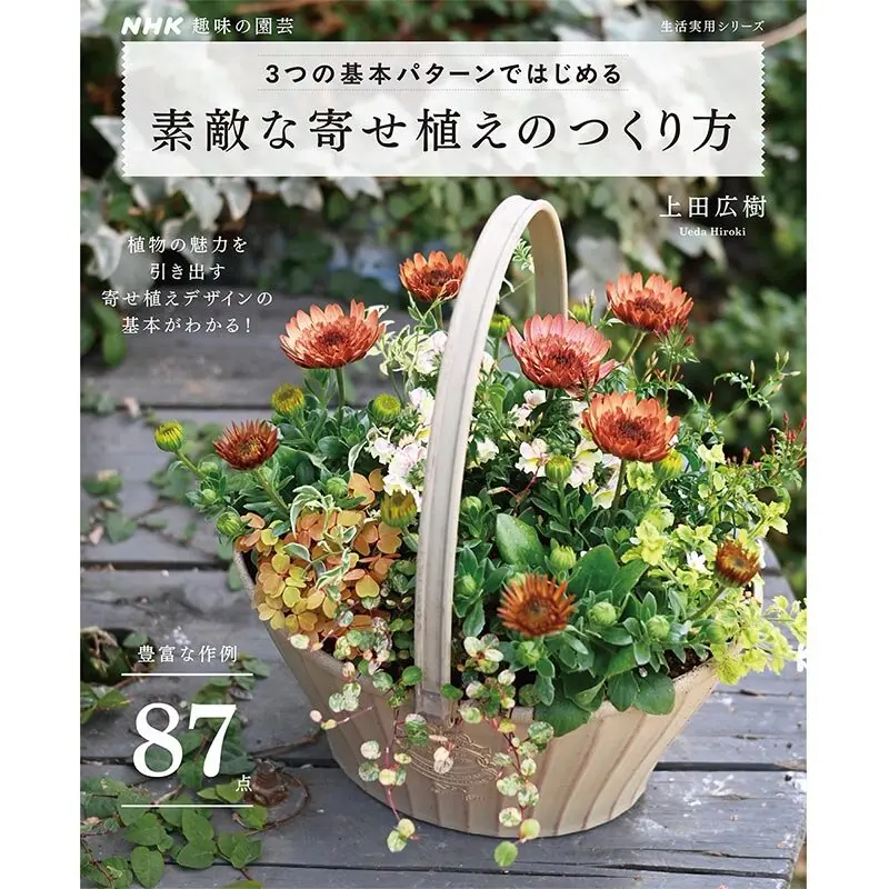 NHK趣味の園芸 12か月栽培ナビNEO ブロメリア』エアプランツからタンク