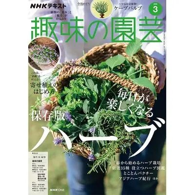 趣味の園芸』2026年3月号の紹介～毎日が楽しくなるハーブ〈春から