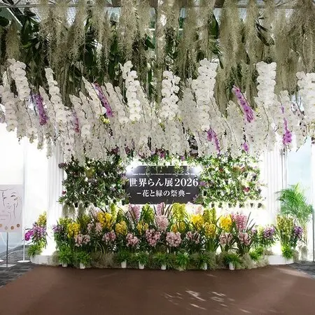 ザツーバージンズ｜園芸日記byこんちゃん｜みんなの趣味の園芸｜535054