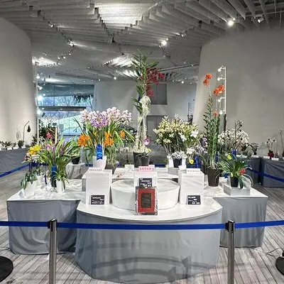 第80回JOGA洋らん展、昭和記念公園で開催 人生を彩る蘭に出会える4日間