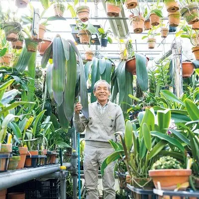 自作の温室でランと過ごす日々【プロも気になる！ラン愛好家】｜記事