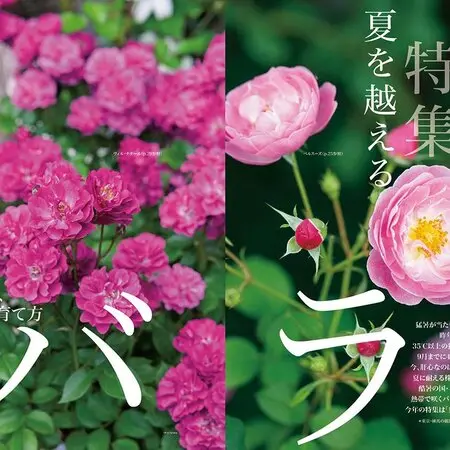 2021.4.6八咫烏×艶八咫烏交配｜園芸日記byめいな｜みんなの趣味の園芸