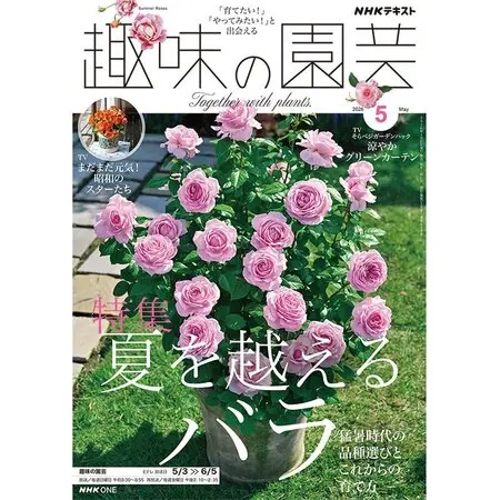 エビネ（夏咲き）の写真〔2ページ目〕｜植物図鑑｜みんなの趣味の園芸