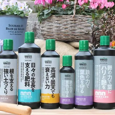昨年末園芸店の処分コーナーで50円で売られていたお花、名前札