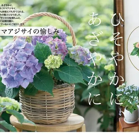 植物学ラテン語辞典｜園芸日記by紙魚淑女｜みんなの趣味の園芸｜55153