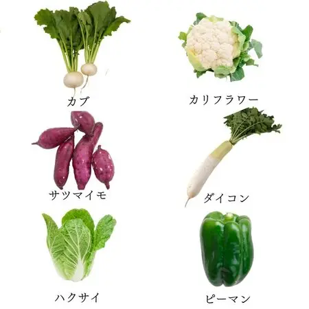 挿木苗『ハクチョウゲ』を根上がり寄せ植え盆栽に｜園芸日記bymeika