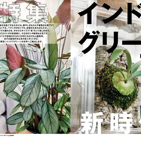植物学ラテン語辞典｜園芸日記by紙魚淑女｜みんなの趣味の園芸｜55153