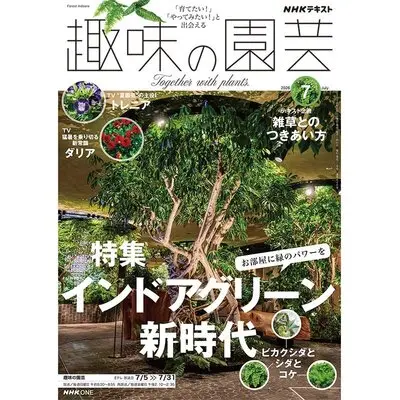 趣味の園芸』2026年7月号の紹介～インドアグリーン新時代〈観葉植物