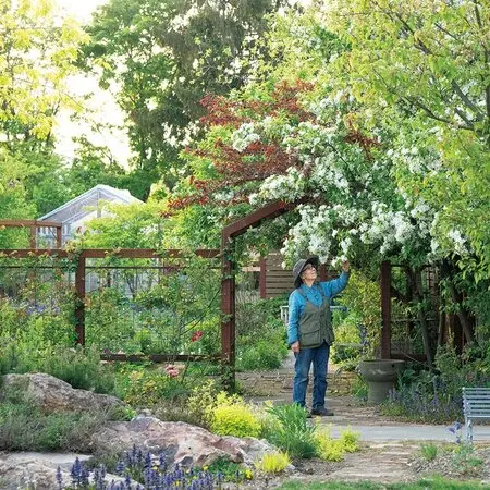 私だけの小さな世界 多肉植物の箱庭｜記事｜みんなの趣味の園芸