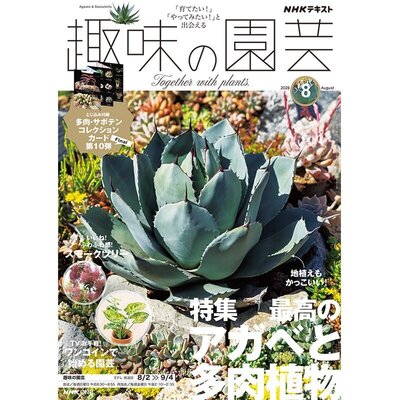 趣味の園芸』2026年8月号の紹介～最高のアガベと多肉植物【とじ込み