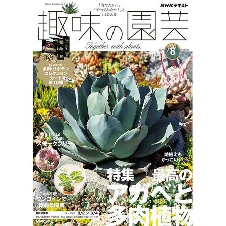 今の時期に植物を抜き苗で四種郵便や定形外で取引することにつ
