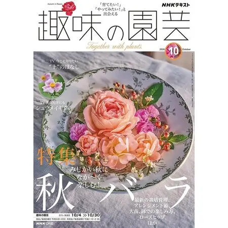 ボケの種類（原種、品種）｜植物図鑑｜みんなの趣味の園芸（NHK出版）