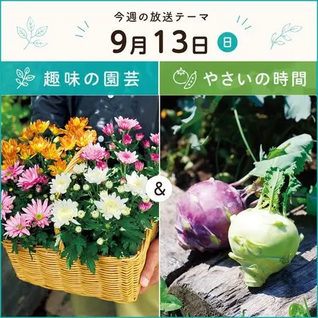 朝顔と月下美人の支柱 2022..8..29｜園芸日記bymeiko.｜みんなの趣味の