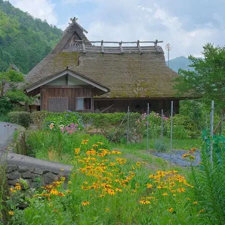 挿木苗『ハクチョウゲ』を根上がり寄せ植え盆栽に｜園芸日記bymeika