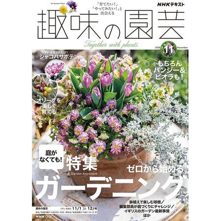 ツツジとは・基本情報｜育て方がわかる植物図鑑｜みんなの趣味の園芸