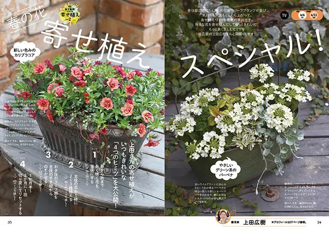 趣味の園芸』2025年4月号の紹介～春を満喫！ウキウキ寄せ植え／バラ