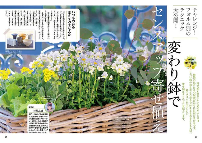 趣味の園芸』2025年4月号の紹介～春を満喫！ウキウキ寄せ植え／バラ