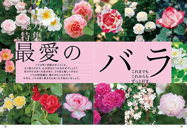 これまでも、これからも、ずっと好き。最愛のバラ〈総力特集〉～好評