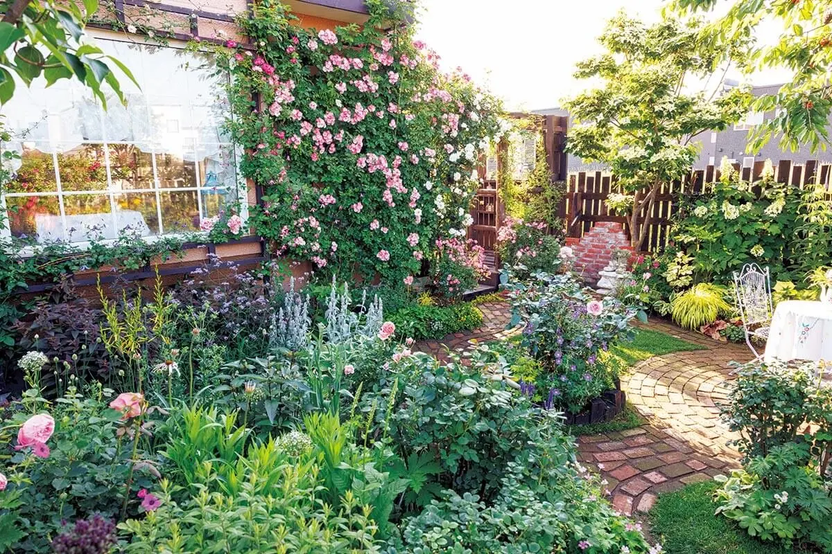 庭のバラ 北海道・恵庭市にある池田さんの美しいバラの庭 | ハルメク暮らしとお金