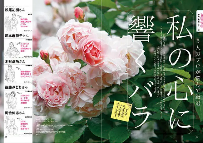 趣味の園芸』2025年5月号の紹介～バラの総力特集！／すごいぞ