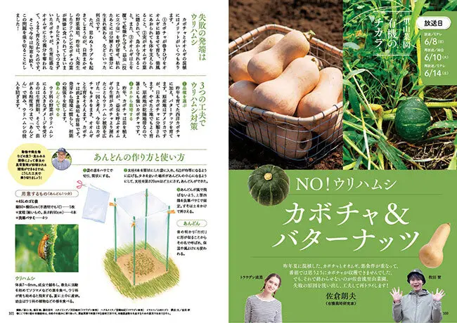 やさいの時間』2025年6・7月号の紹介～今年は猛暑と闘わない！／夏の畑
