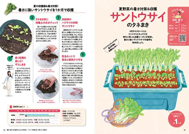 農耕と園藝 2008年8月号 軟弱野菜の夏季高温対策 農耕と園藝 2008年8月