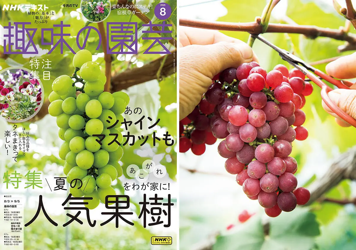 超実践的！〉実例をもとにプロが語る、ブドウ栽培のコツ【趣味の園芸