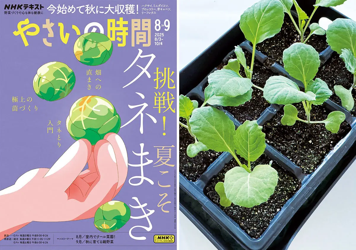 間引き菜が新しい苗になる？！ より極上の苗を目指す育苗のワザ