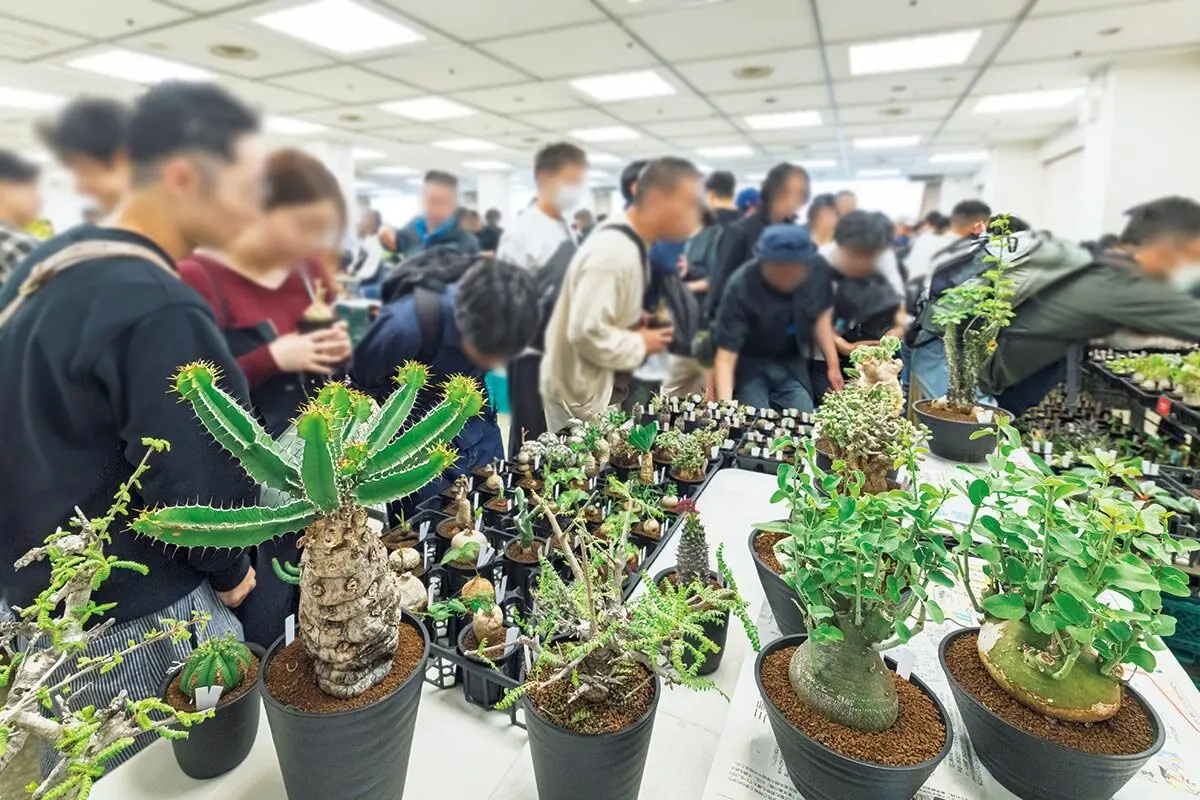 多肉愛好家の熱気が渦巻く！都内最大級の即売会に『趣味の園芸』編集部