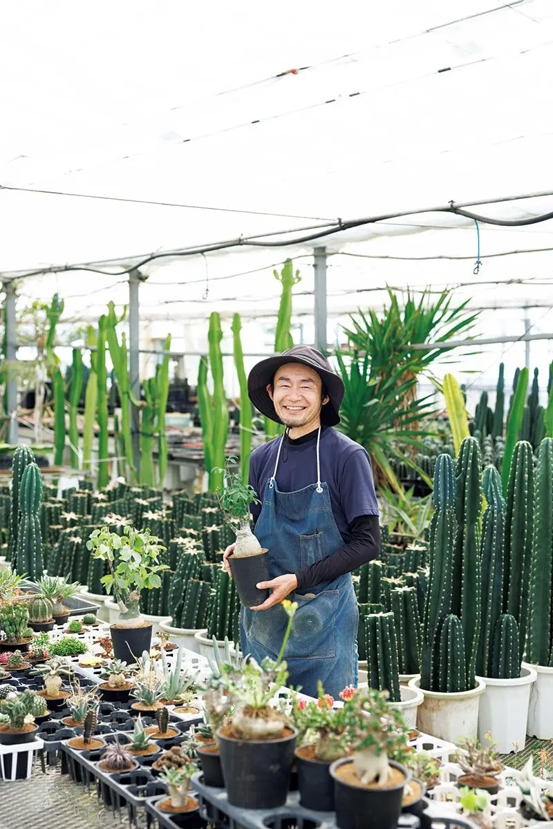 12か月栽培ナビ 多肉植物』著者・長田研さんに聞く 多肉植物の魅力と