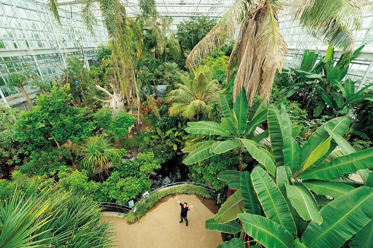 広島 市 植物 公園