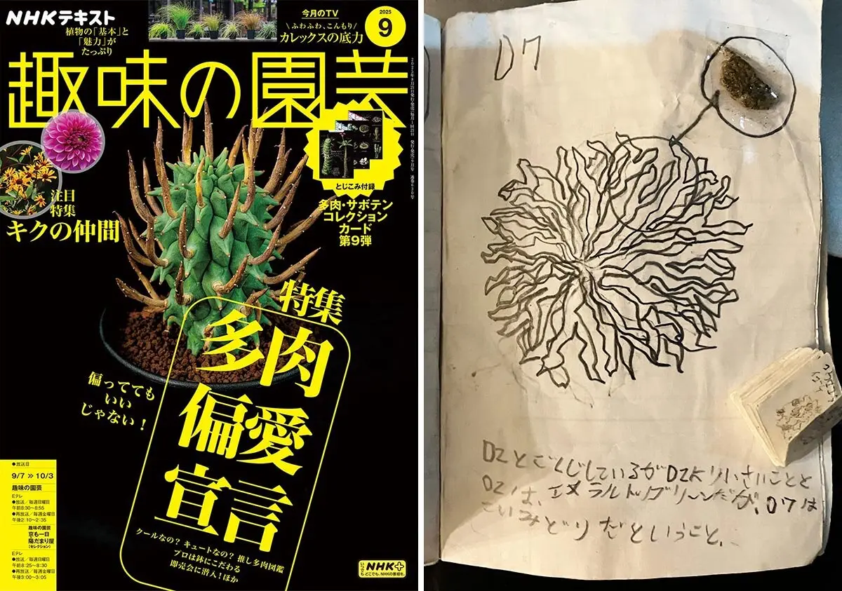 週末Sale❁洋書古書 レア 植物図鑑 フランス 植物学者GastonB 週末Sale❁洋書古書 レア 植物図鑑 フランス 植物学者GastonB 19世紀