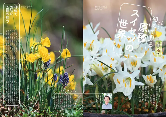 今年こそ、球根の達人になる！～好評発売中『趣味の園芸』2025年10月号
