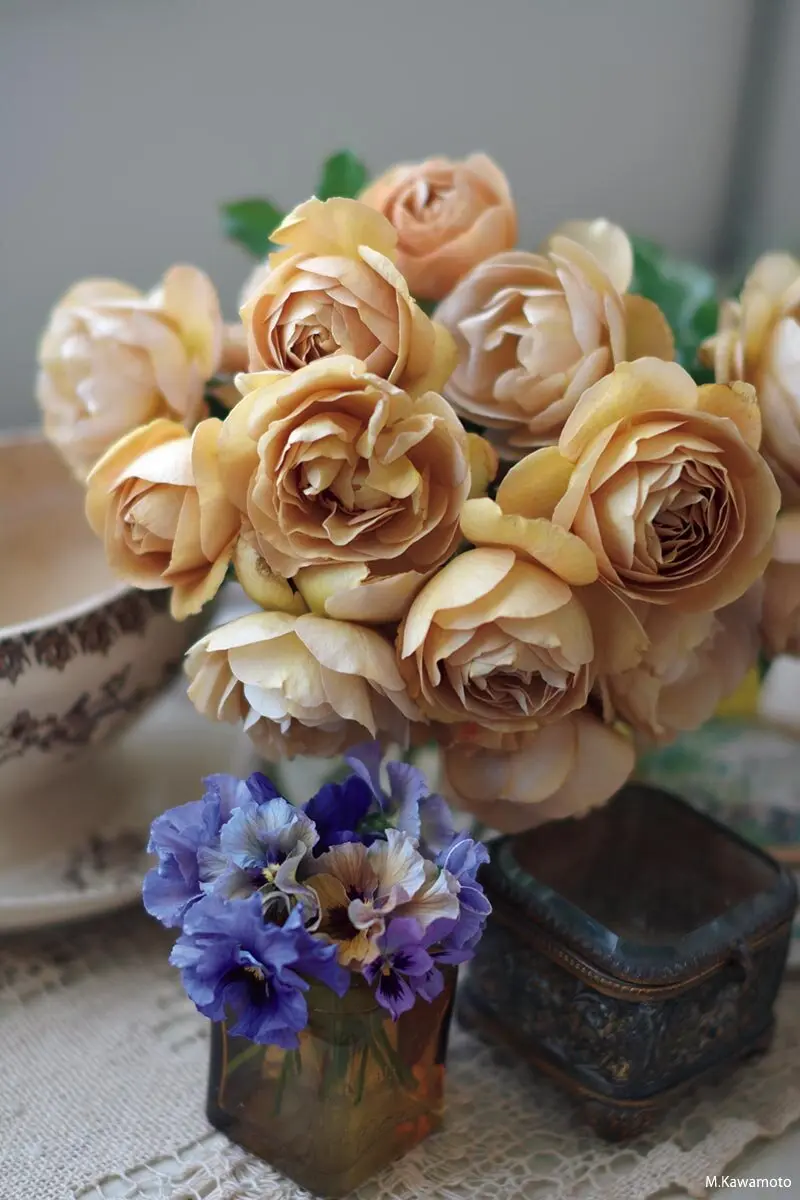 オンラインセミナー開催 河本麻記子さん 大野耕生さん 手芸屋さんのバラ Roses de Mercerieの魅力 お知らせ・プレスリリース